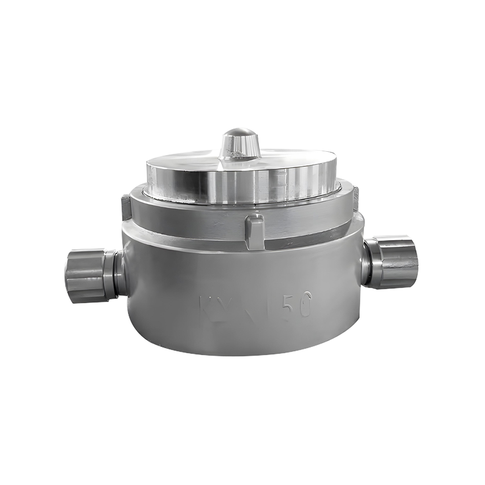 Femeie John Morris Blank Cap